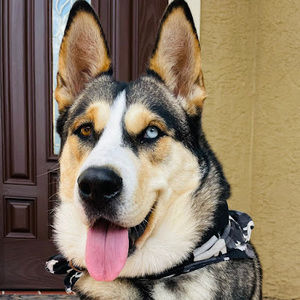 Meet your Posher, Angela